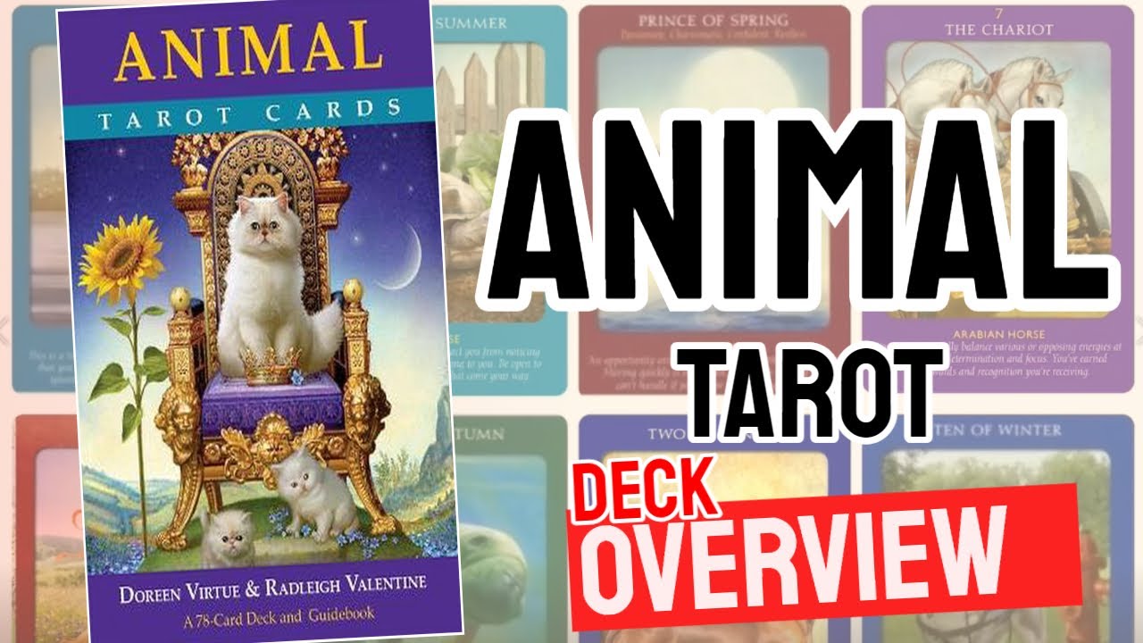 Animal Tarot Tarot Review