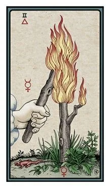 2 of Wands - The Alchemical Tarot - Tarot Deck by Robert M. Place