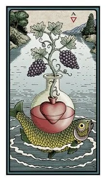 Ace of Cups - The Alchemical Tarot - Tarot Deck by Robert M. Place