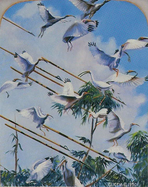 an image of birds flying in the air over trees and wires with words eight of saves
