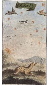 Air card from the Ancient Minchiate Etruria Tarot deck