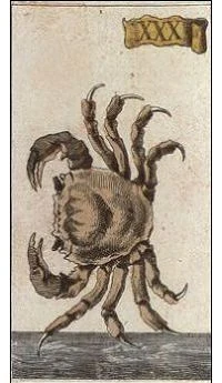 Cancer card from the Ancient Minchiate Etruria Tarot deck