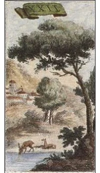 Earth card from the Ancient Minchiate Etruria Tarot deck