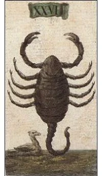 Scorpio card from the Ancient Minchiate Etruria Tarot deck