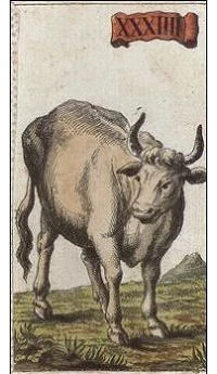 Taurus card from the Ancient Minchiate Etruria Tarot deck