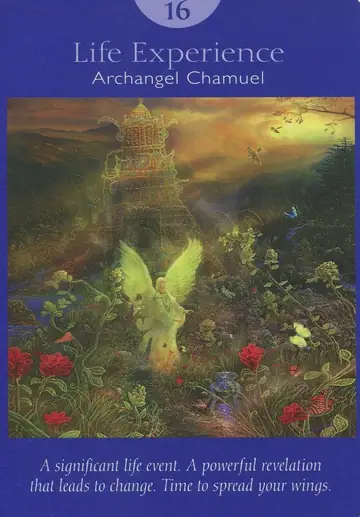 Life Experience card from the Angel Tarot deck