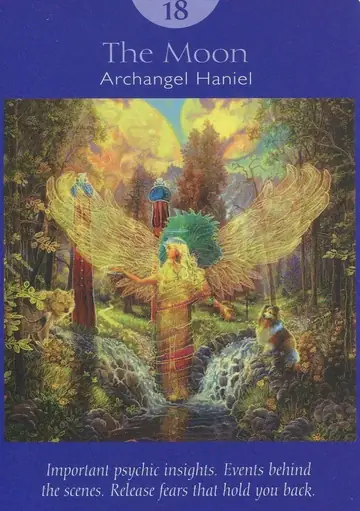 The Moon card from the Angel Tarot deck
