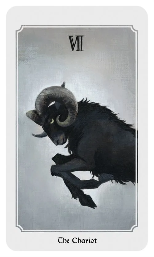 Anima Mundi Tarot Review 5 Anima Mundi Tarot source-order card 05