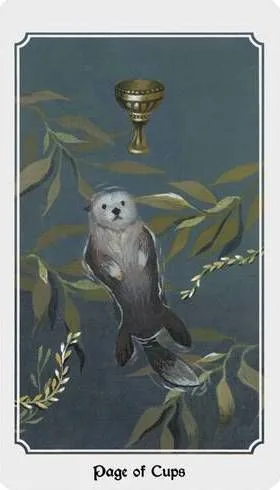 Anima Mundi Tarot Page of Cups card