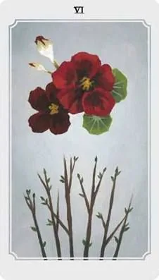Anima Mundi Tarot Six of Wands card