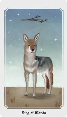 Anima Mundi Tarot King of Wands card