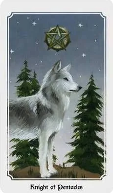 Anima Mundi Tarot Review 13 Anima Mundi Tarot source-order card 61