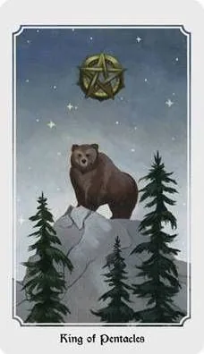 Anima Mundi Tarot Review 15 Anima Mundi Tarot source-order card 63