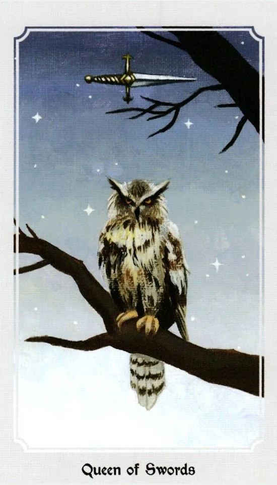 Anima Mundi Tarot Queen of Swords card