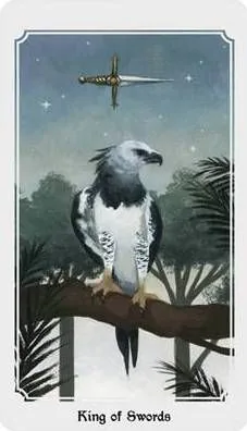 Anima Mundi Tarot King of Swords card