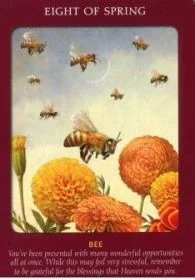 Eight of Spring card from the Animal Tarot deck