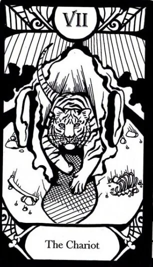 The Chariot card from the Animalis Os Fortuna Tarot deck