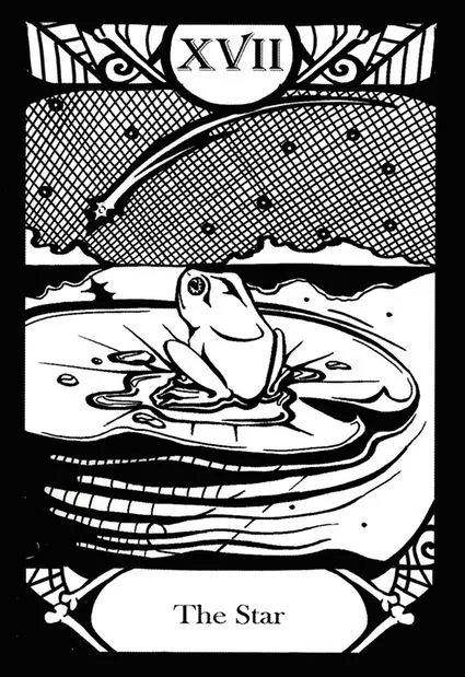 The Star card from the Animalis Os Fortuna Tarot deck