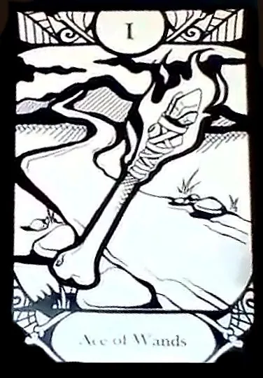 Ace of Wands card from the Animalis Os Fortuna Tarot deck