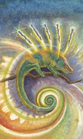 Five of Wands card from the Animals Divine Tarot deck