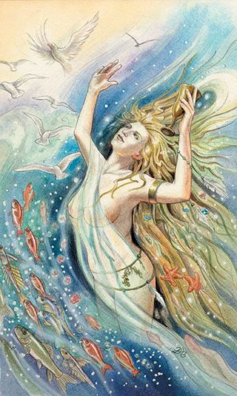 Knight of Cups card from the Animals Divine Tarot deck