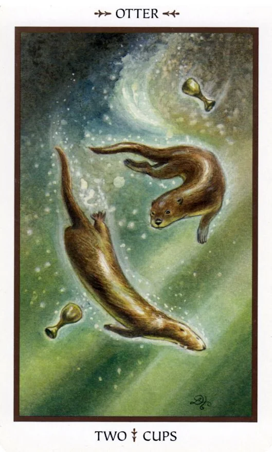 Two of Cups - Animals Divine Tarot card Two of Cups card from the Animals Divine Tarot deck