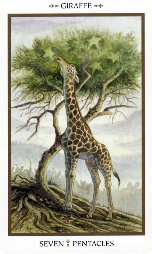 Seven of Pentacles card from the Animals Divine Tarot deck