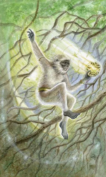 Page of Pentacles card from the Animals Divine Tarot deck