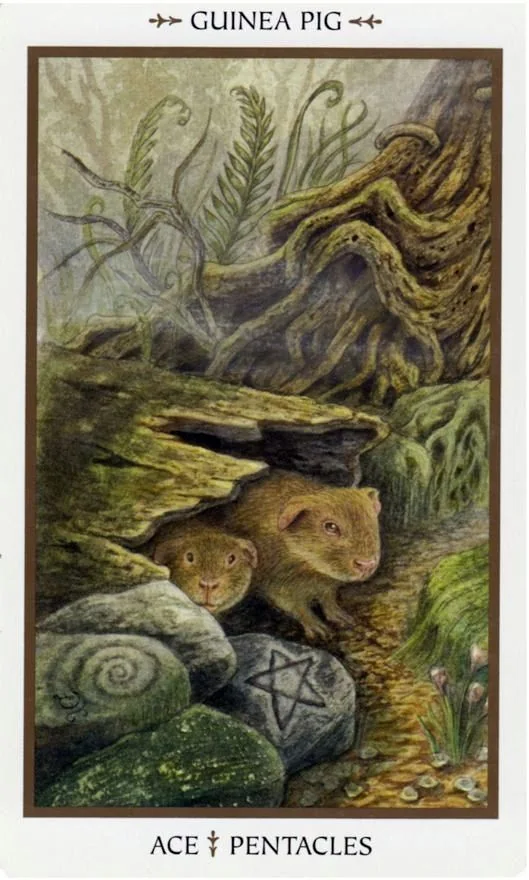 Ace of Pentacles - Animals Divine Tarot card Ace of Pentacles card from the Animals Divine Tarot deck