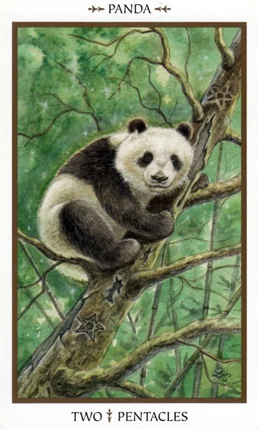Two of Pentacles card from the Animals Divine Tarot deck