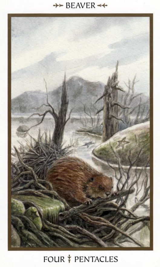 Four of Pentacles card from the Animals Divine Tarot deck