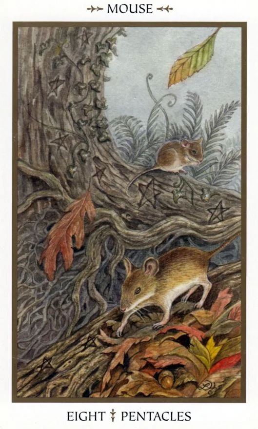 Eight of Pentacles card from the Animals Divine Tarot deck