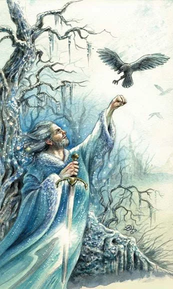 Knight of Swords card from the Animals Divine Tarot deck