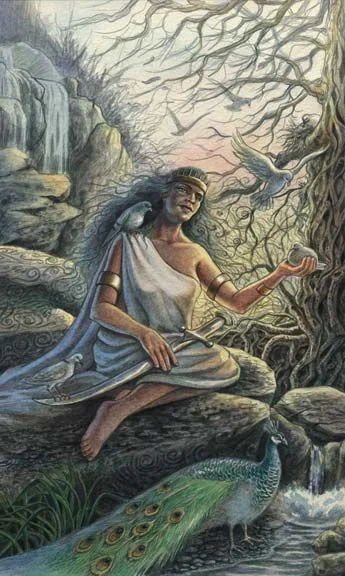 Page of Swords card from the Animals Divine Tarot deck