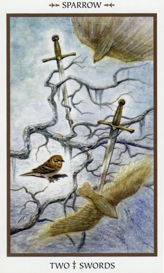 Two of Swords card from the Animals Divine Tarot deck