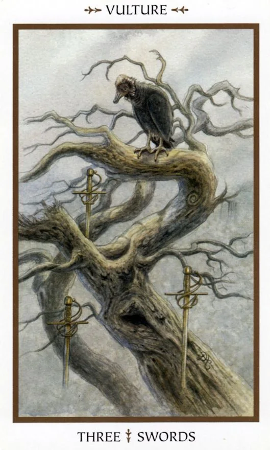 Three of Swords card from the Animals Divine Tarot deck
