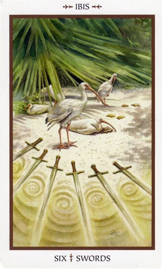 Six of Swords card from the Animals Divine Tarot deck