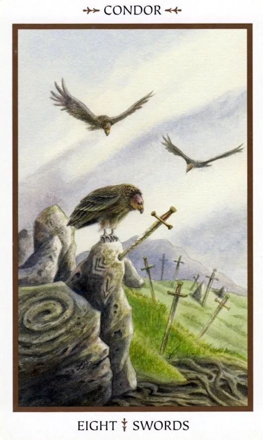 Eight of Swords card from the Animals Divine Tarot deck