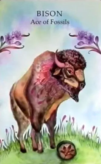 Animals Wisdom Tarot Review