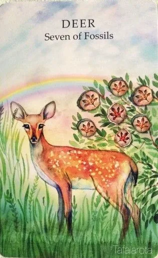 Deer - Seven of Fossils card from the Animals Wisdom Tarot deck