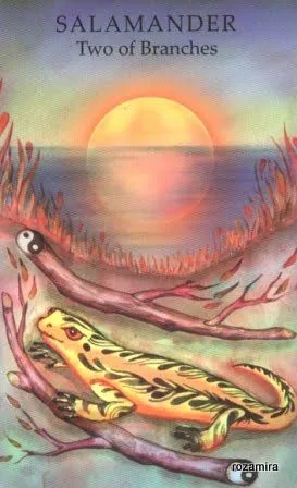 Salamander - Two of Branches card from the Animals Wisdom Tarot deck