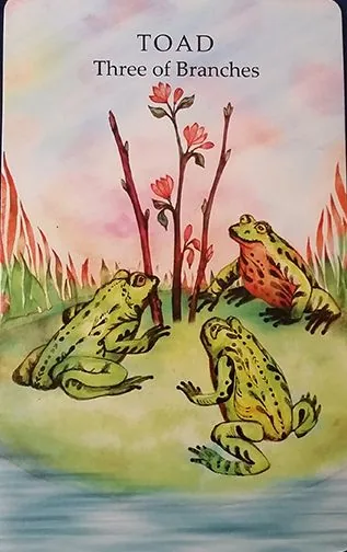 Toad - Three of Branches card from the Animals Wisdom Tarot deck