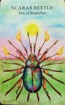 Scarab Beetle - Ten of Branches card from the Animals Wisdom Tarot deck