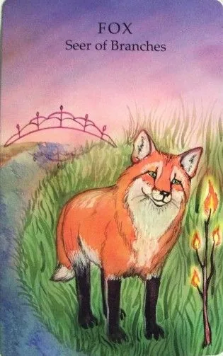 Fox - Seer of Branches card from the Animals Wisdom Tarot deck