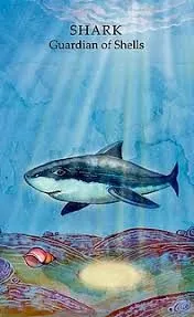 Shark - Guardian of Shells card from the Animals Wisdom Tarot deck
