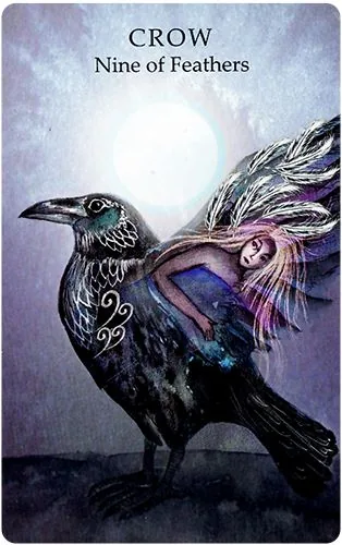 Crow - Nine of Feathers card from the Animals Wisdom Tarot deck