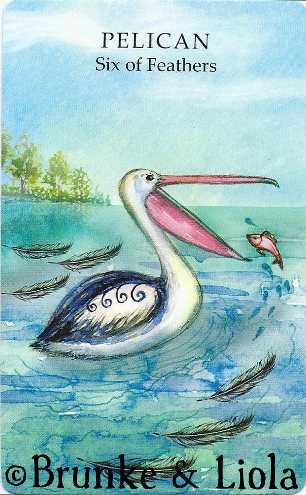 Pelican - Six of Feathers card from the Animals Wisdom Tarot deck