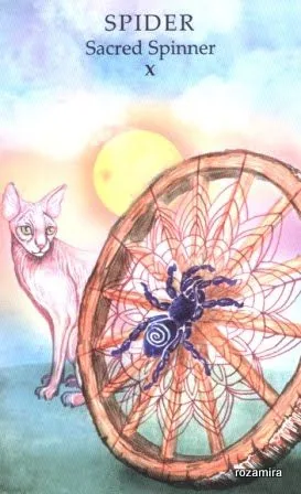 Spider - Sacred Spinner (X) card from the Animals Wisdom Tarot deck