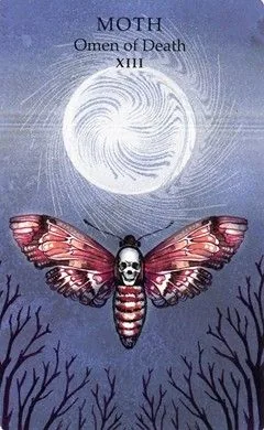 Moth - Omen of Death (XIII) card from the Animals Wisdom Tarot deck