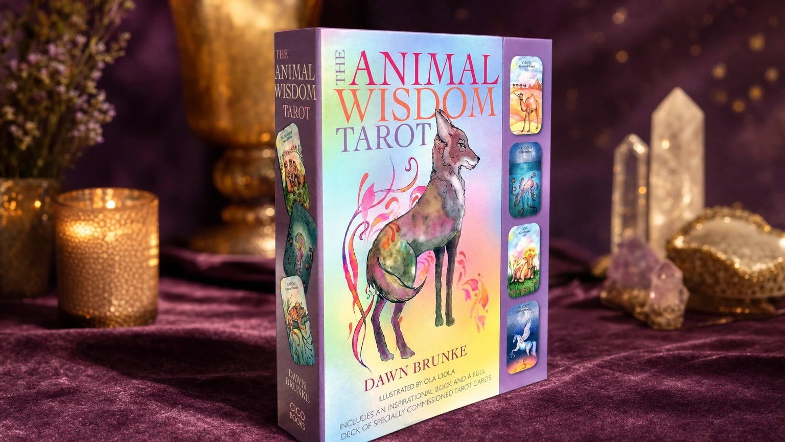 Animals Wisdom Tarot product box lifestyle image